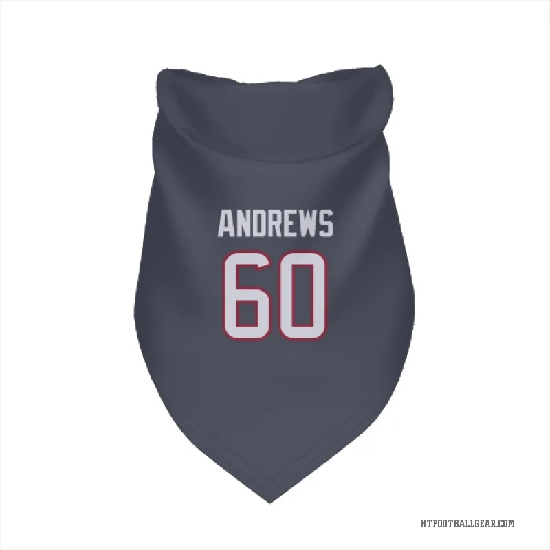 Jake Andrews  Navy Houston Texans  Cat & Dog Pet Bandana