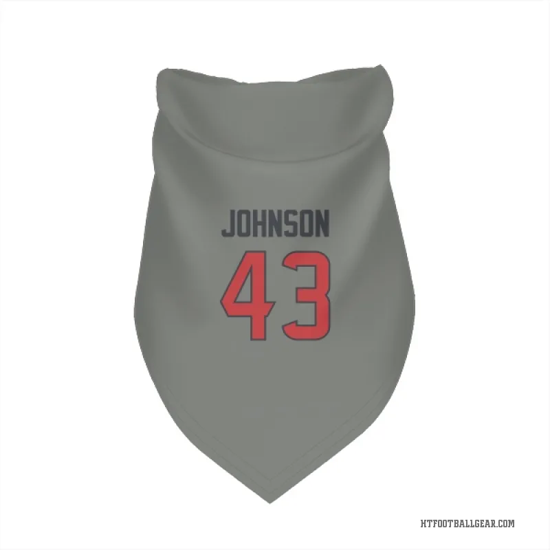 Jakob Johnson  Gray Houston Texans  Cat & Dog Pet Bandana