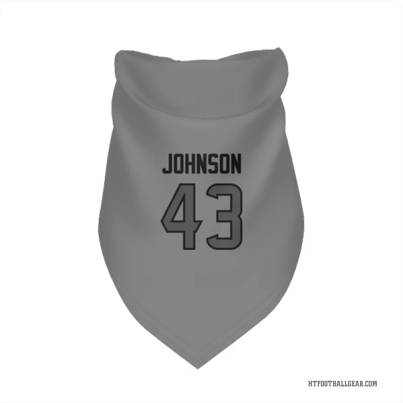 Jakob Johnson  Houston Texans   Silver Cat & Dog Pet Bandana