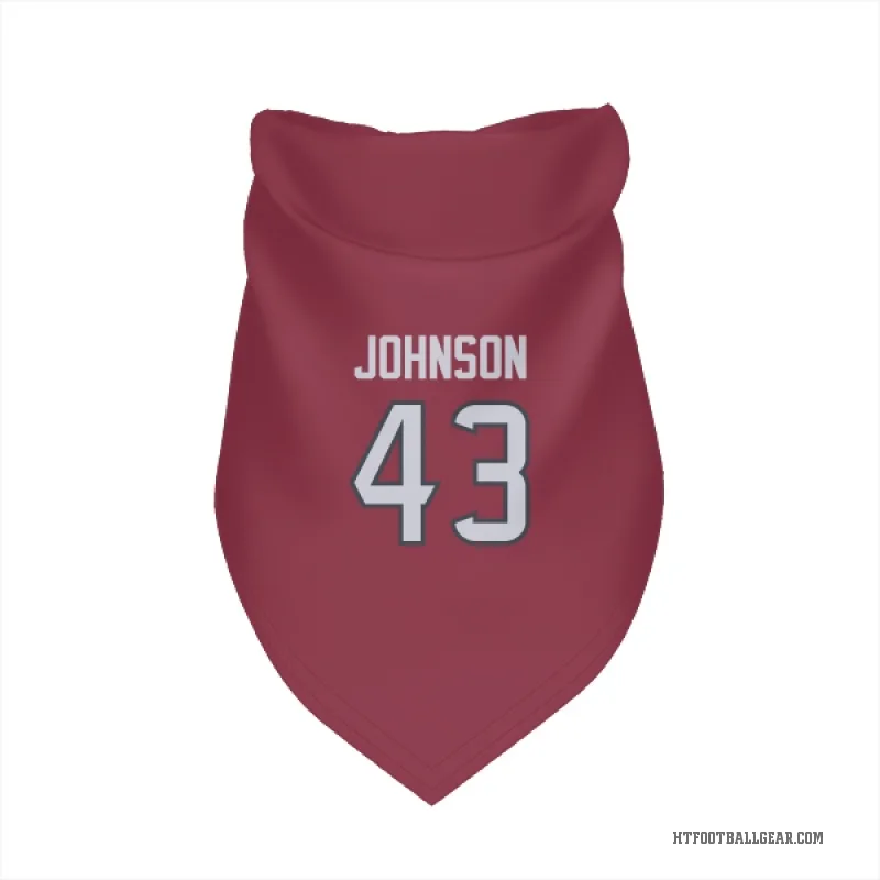 Jakob Johnson  Red Houston Texans  Cat & Dog Pet Bandana