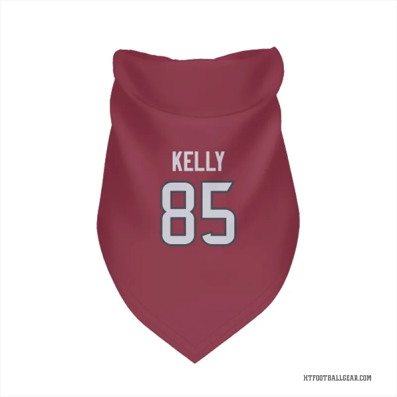Josh Kelly  Red Houston Texans  Cat & Dog Pet Bandana
