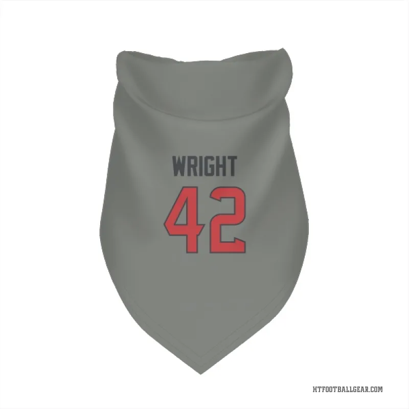 Matthew Wright  Gray Houston Texans  Cat & Dog Pet Bandana